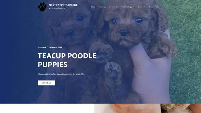 Screenshot of