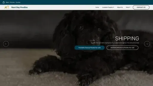 Screenshot of