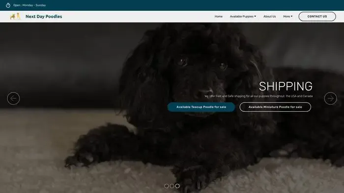 Screenshot of