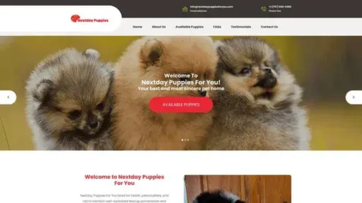 Screenshot of