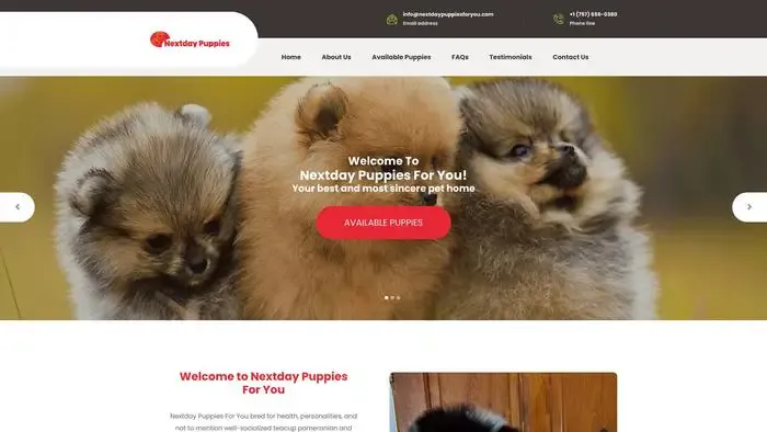 Screenshot of