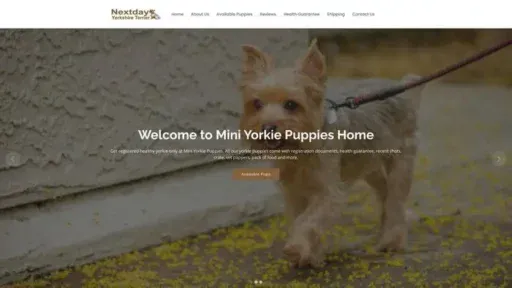 Screenshot of