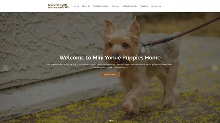 Screenshot of