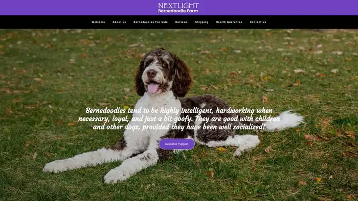 Screenshot of