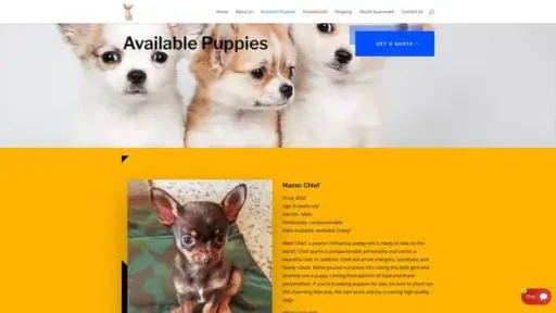Screenshot of