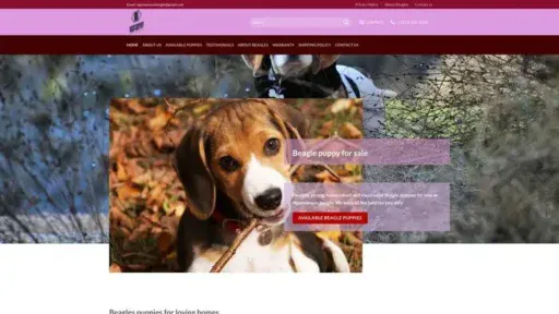 Screenshot of