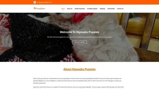 Screenshot of