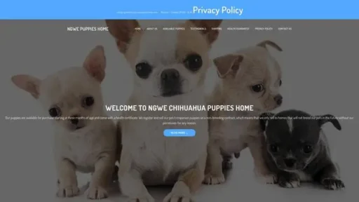 Screenshot of