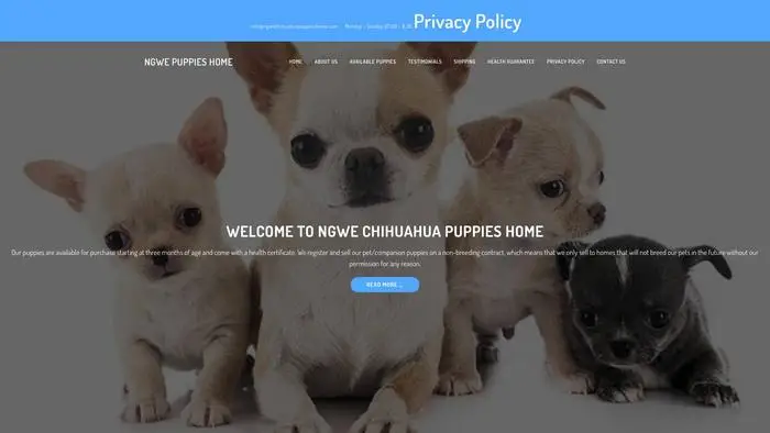 Screenshot of