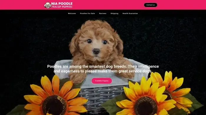 Screenshot of