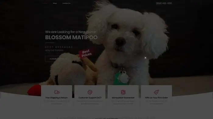 Screenshot of