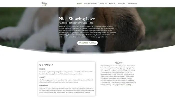 Screenshot of
