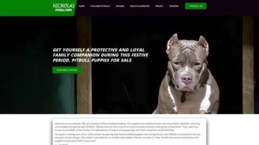 Screenshot of||