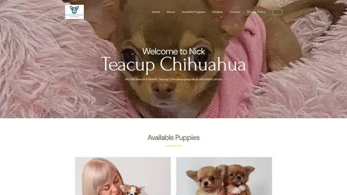 Screenshot of