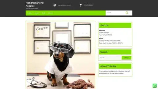 Screenshot of
