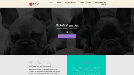 Screenshot of
