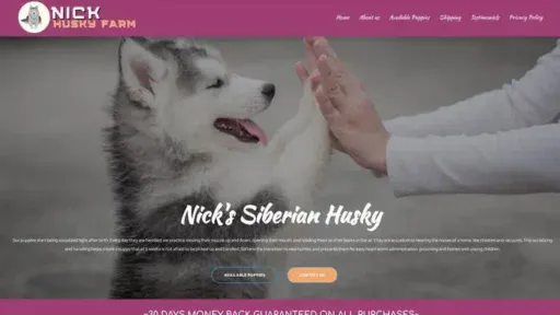 Screenshot of