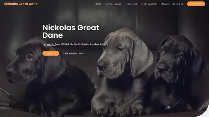 Screenshot of