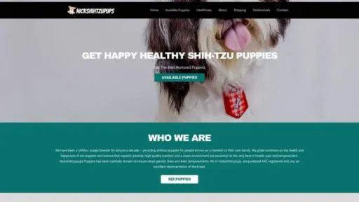 Screenshot of||