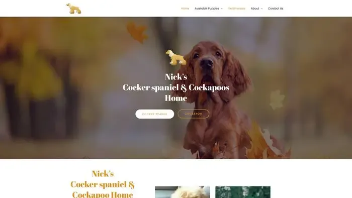 Screenshot of