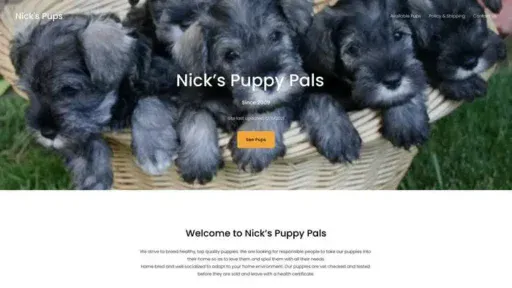 Screenshot of