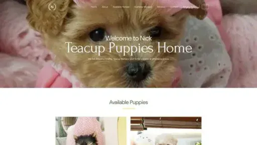 Screenshot of|