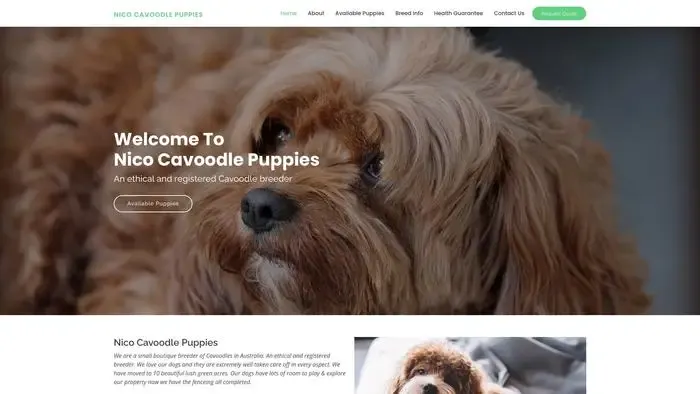 Screenshot of