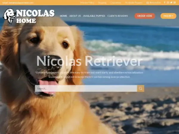 Screenshot of