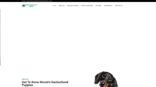Screenshot of