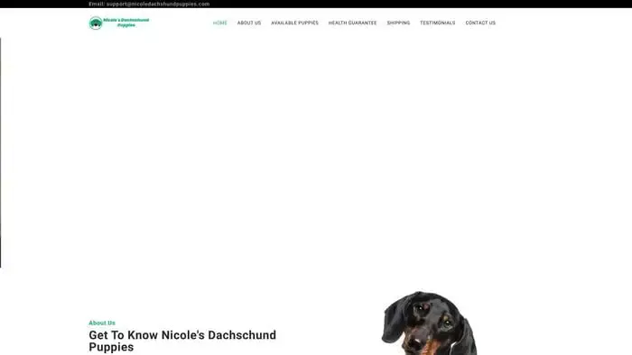 Screenshot of