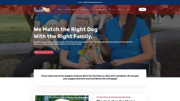 Screenshot of