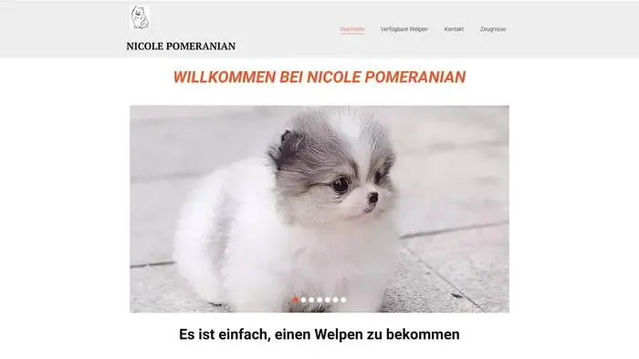 Screenshot of