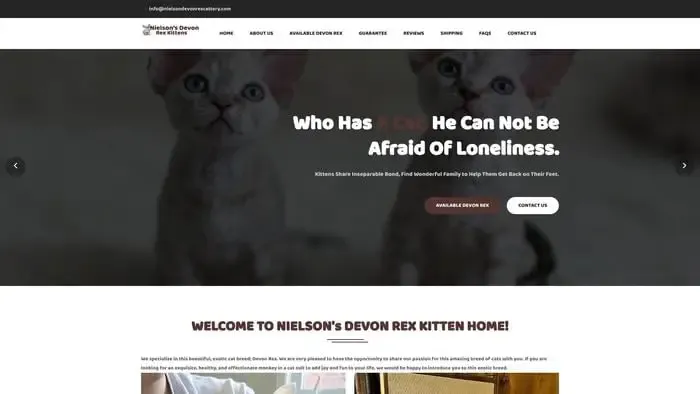 Screenshot of