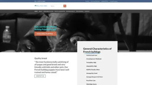 Screenshot of