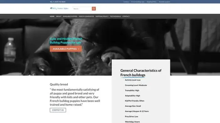 Screenshot of