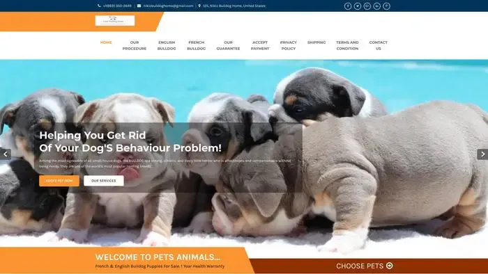 Screenshot of