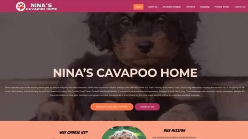 Screenshot of