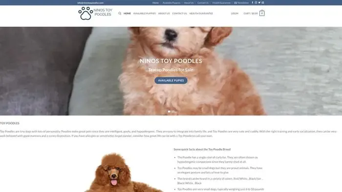 Screenshot of