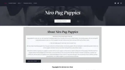 Screenshot of