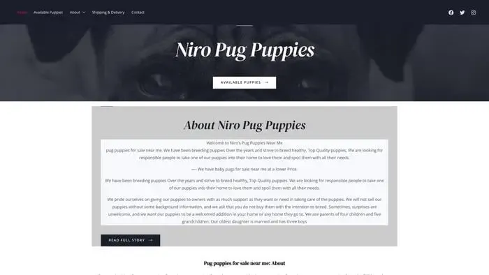 Screenshot of