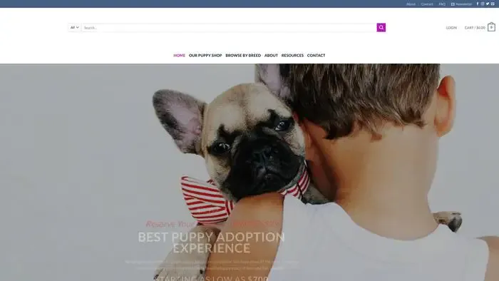 Screenshot of