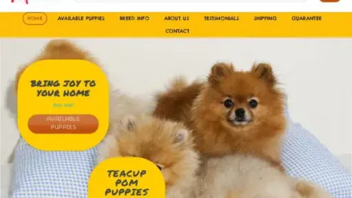 Screenshot of