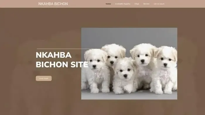 Screenshot of