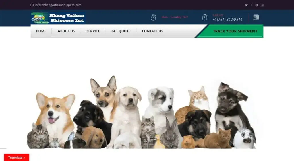 Screenshot of
