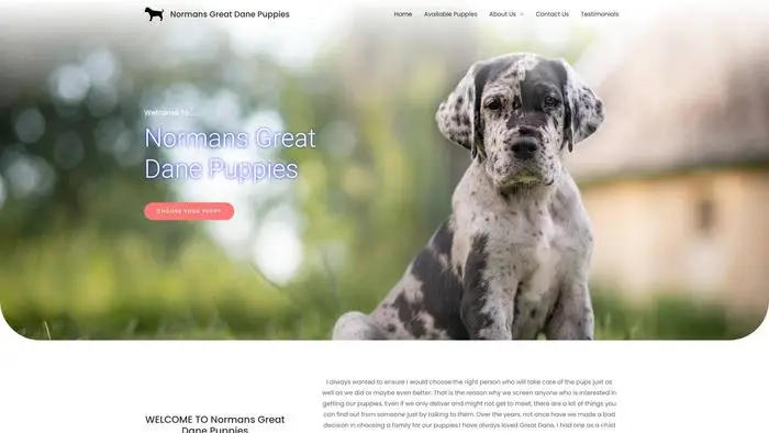 Screenshot of