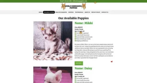 Screenshot of
