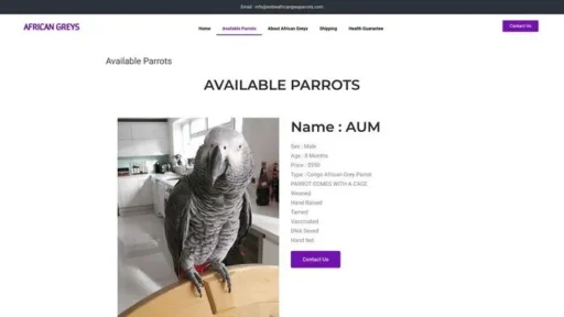 Screenshot of