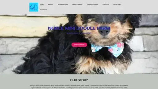 Screenshot of