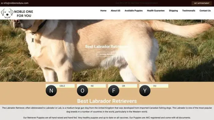 Screenshot of