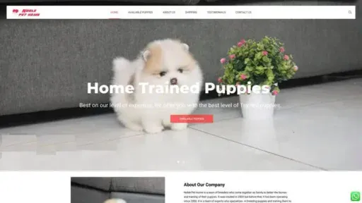 Screenshot of
